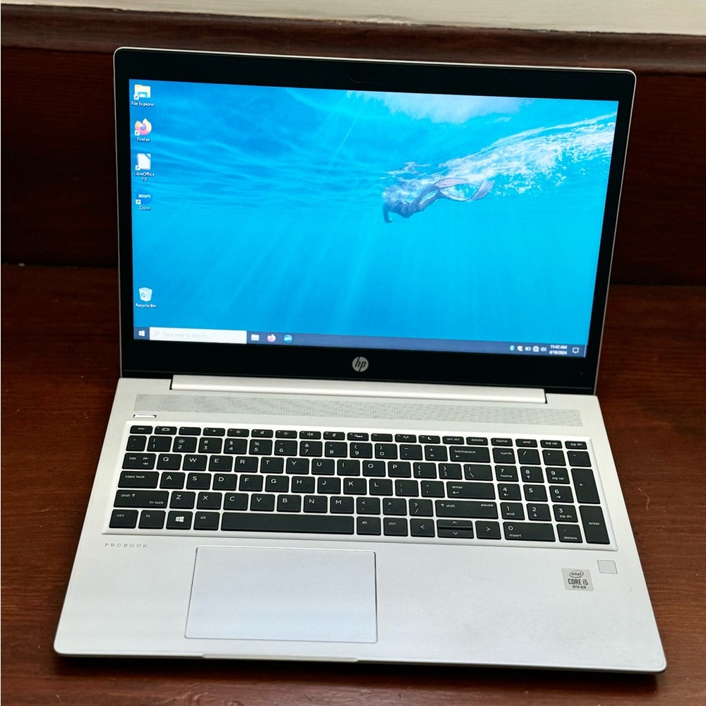 HP Silver ProBook 450 g7 (2020)